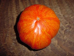 Copia
