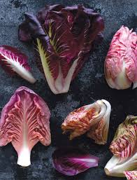 Mixed Radicchio