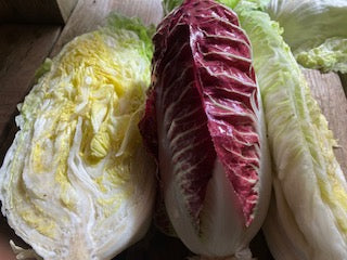 Mixed Radicchio