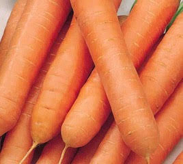 Dolciva Carrots