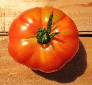 Aker's West Virginia-Tomatoes-Vegetables-Full Circle Seeds
