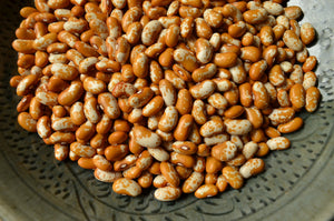 Appaloosa-Beans-Vegetables-Full Circle Seeds