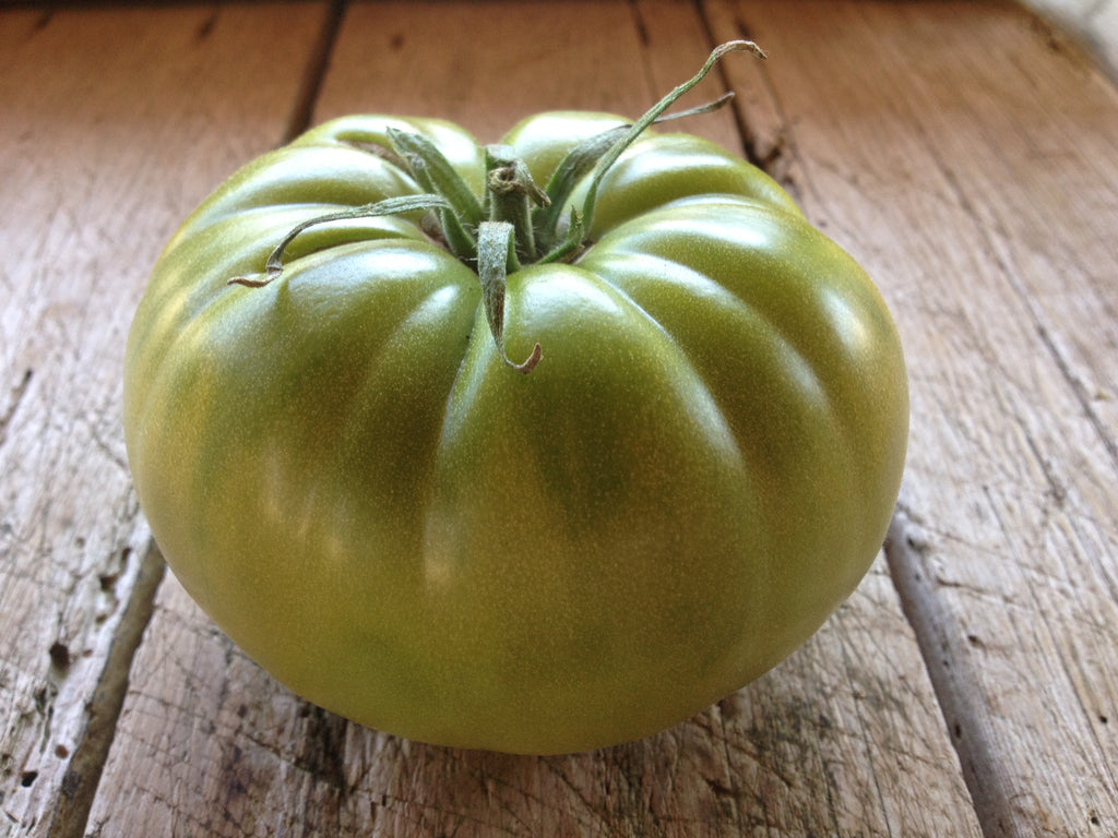 Aunt Ruby's German Green-Tomatoes-Vegetables-Full Circle Seeds