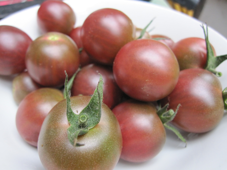 Black Cherry-Tomatoes-Vegetables-Full Circle Seeds