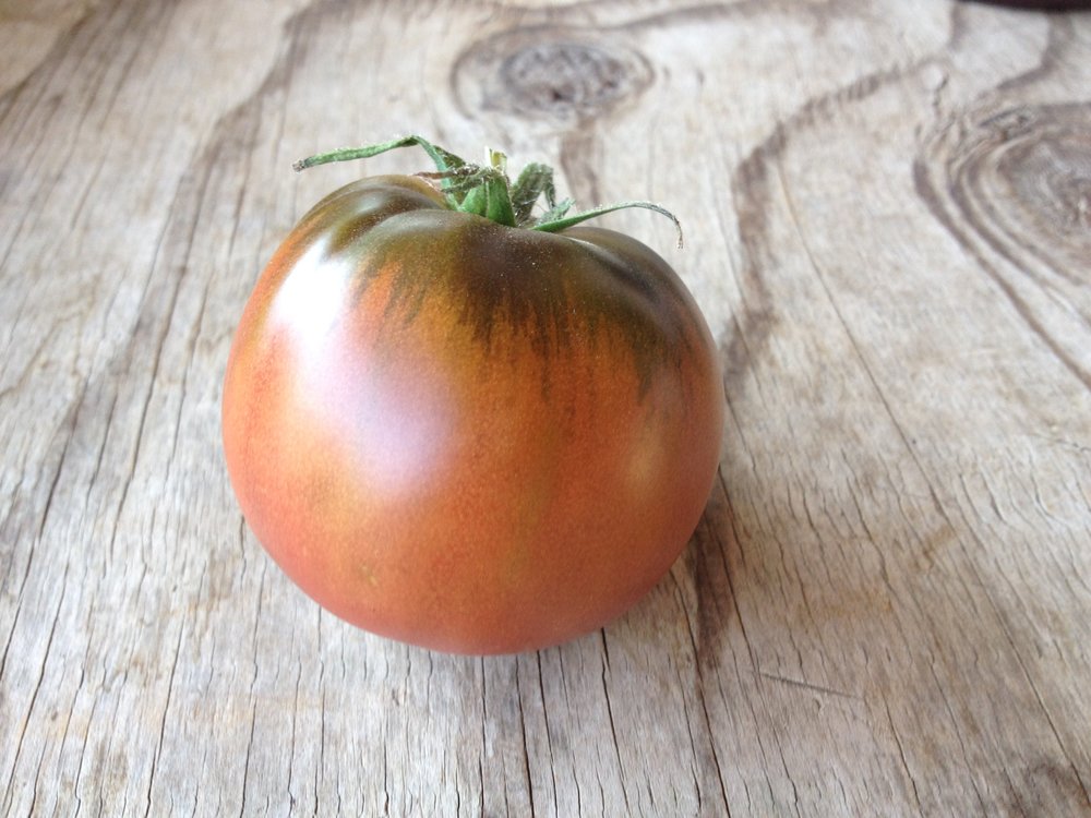 Black Krim-Tomatoes-Vegetables-Full Circle Seeds