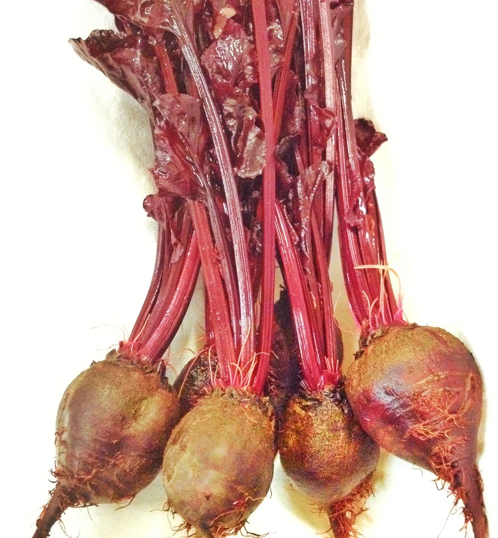 Bull's Blood Beets-Beets-Vegetables-Full Circle Seeds