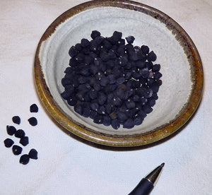 Black Chickpea-Beans-Vegetables-Full Circle Seeds