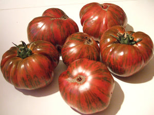 Chocolate Striped-Tomatoes-Vegetables-Full Circle Seeds