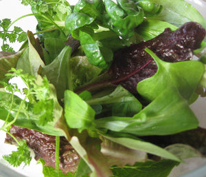 Cool Weather Salad Blend-Salad Greens-Vegetables-Full Circle Seeds