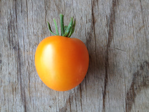 Flammé-Tomatoes-Vegetables-Full Circle Seeds