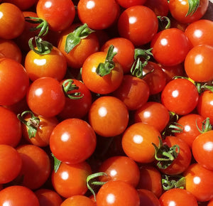 Gardener's Delight-Tomatoes-Vegetables-Full Circle Seeds
