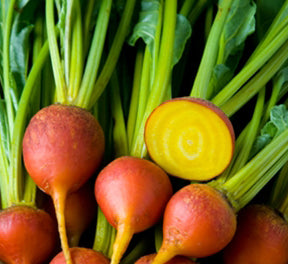 Golden Beets-Beets-Vegetables-Full Circle Seeds