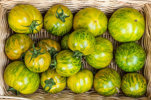 Green Zebra-Tomatoes-Vegetables-Full Circle Seeds