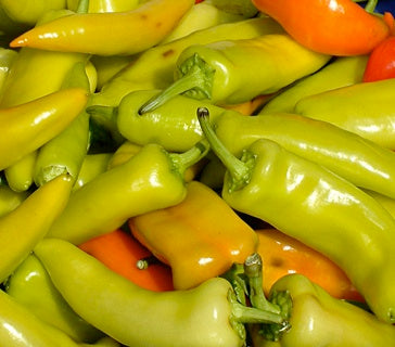 Hungarian Hot Wax-Peppers-Vegetables-Full Circle Seeds