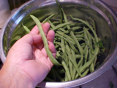 Lazy Housewife-Beans-Vegetables-Full Circle Seeds