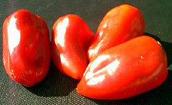 Lipstick-Peppers-Vegetables-Full Circle Seeds