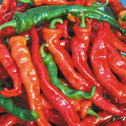 Maule's Red Hot Chile-Peppers-Vegetables-Full Circle Seeds