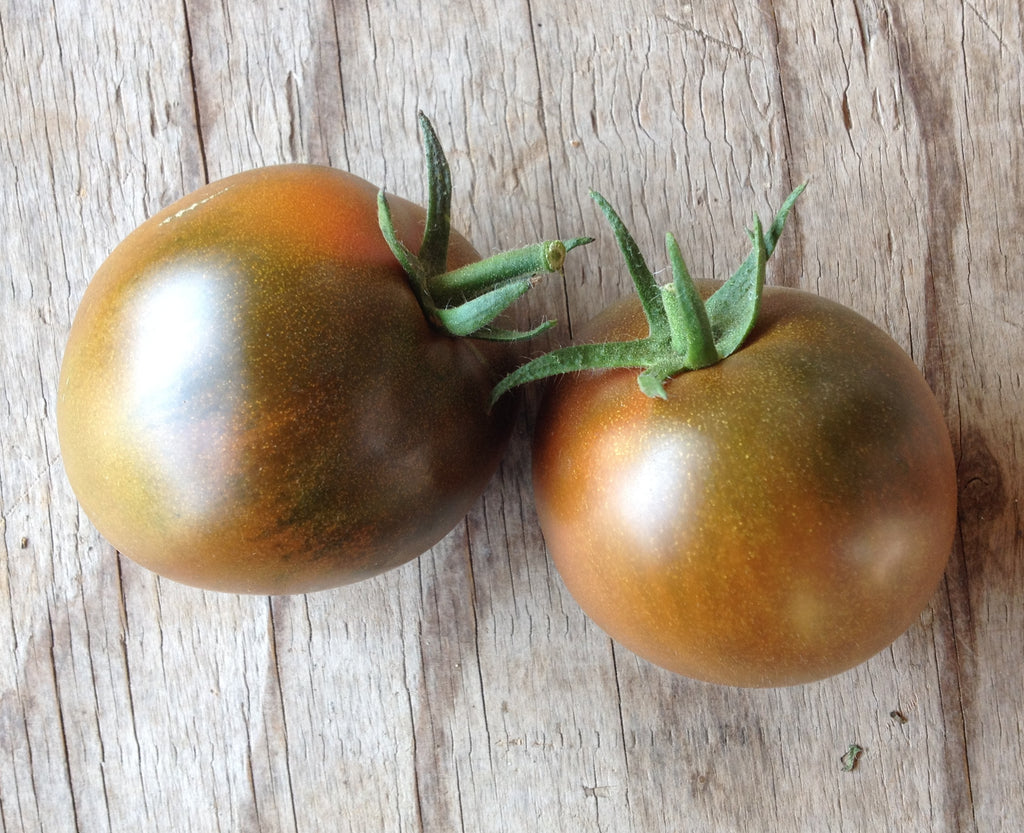 Nyagous-Tomatoes-Vegetables-Full Circle Seeds