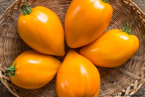 Orange Strawberry-Tomatoes-Vegetables-Full Circle Seeds