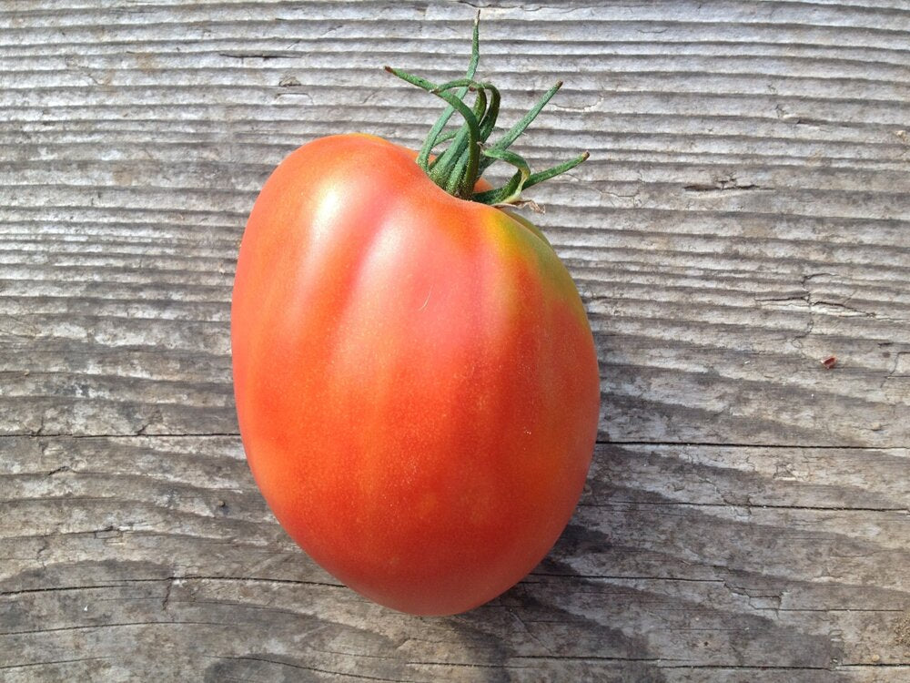 San Marzano-Tomatoes-Vegetables-Full Circle Seeds