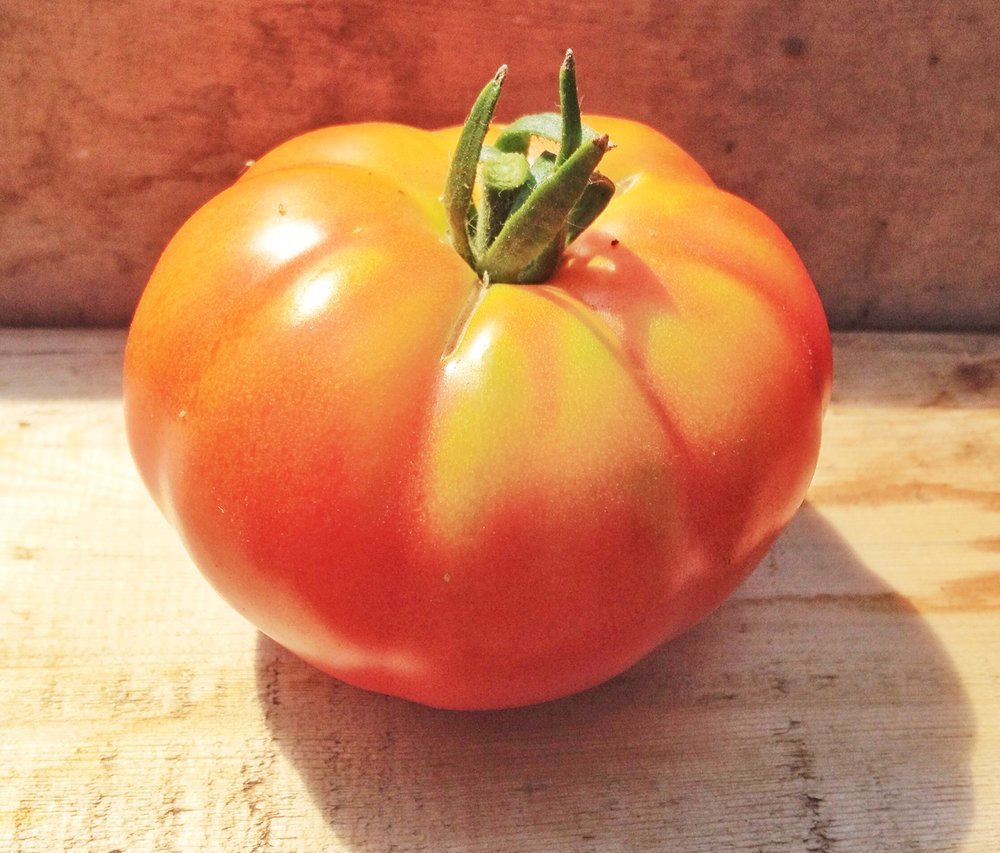 Super Marmande-Tomatoes-Vegetables-Full Circle Seeds