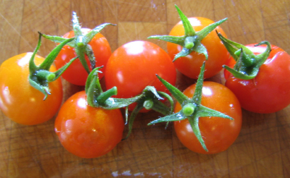 Sweetie-Tomatoes-Vegetables-Full Circle Seeds